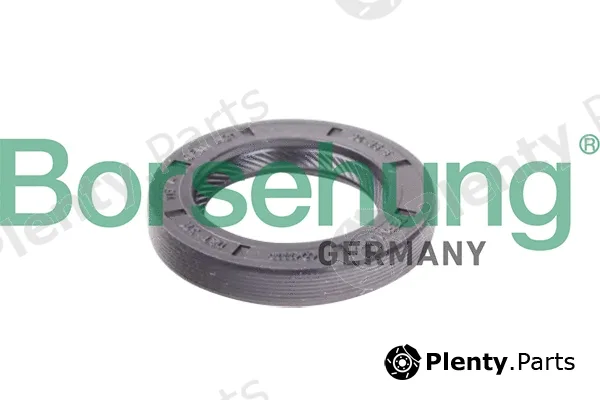 Borsehung B12191 — Shaft Seal, manual transmission
