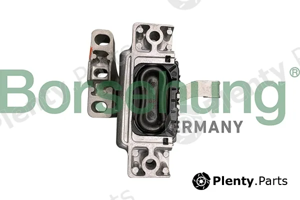 Borsehung B10988 — Mounting, engine