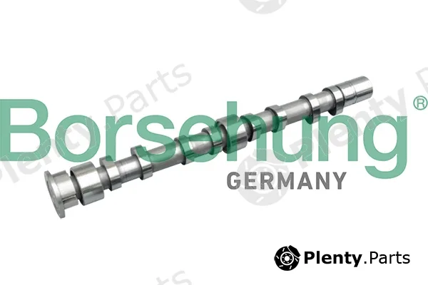Borsehung B11312 — Camshaft