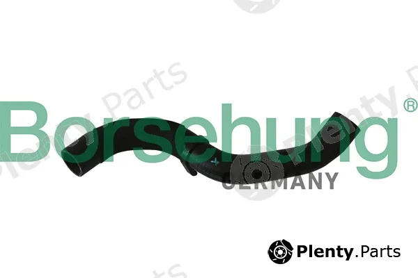 Borsehung B11966 — Radiator Hose