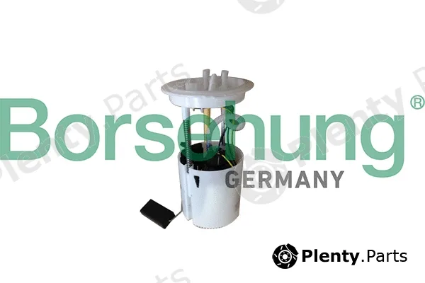 Borsehung B10401 — Fuel Pump
