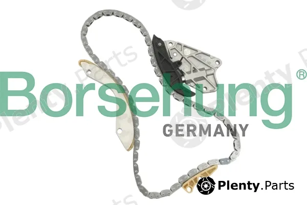 Borsehung B10206 — Timing Chain Kit