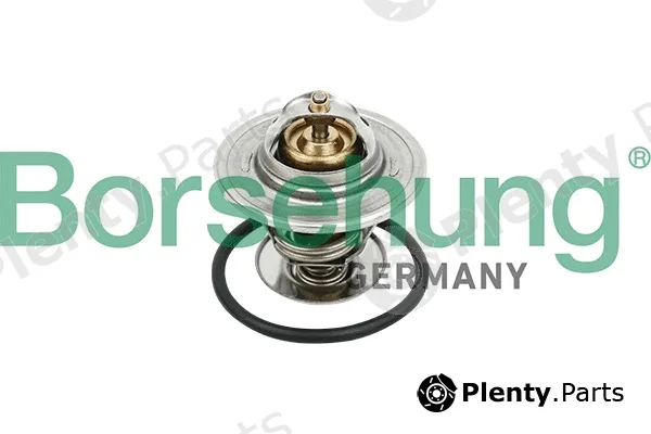 Borsehung B18281 — Thermostat, coolant
