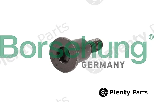 Borsehung B10647 — Sliding Rail Bolts, timing chain