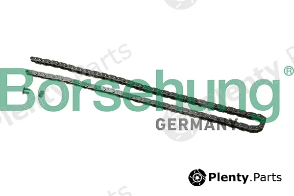 Borsehung B1C027 — Timing Chain