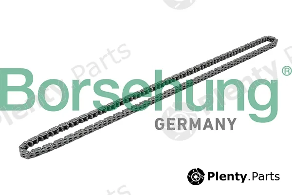 Borsehung B1C019 — Timing Chain