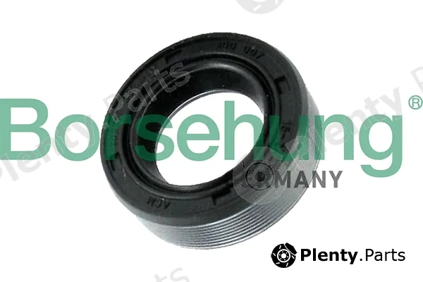 Borsehung B17837 — Shaft Seal, differential