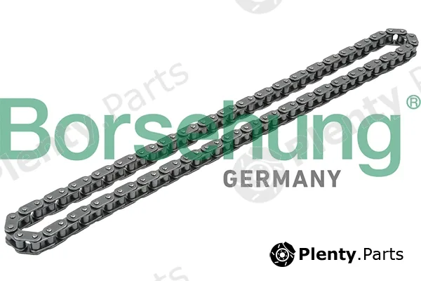 Borsehung B1C010 — Timing Chain