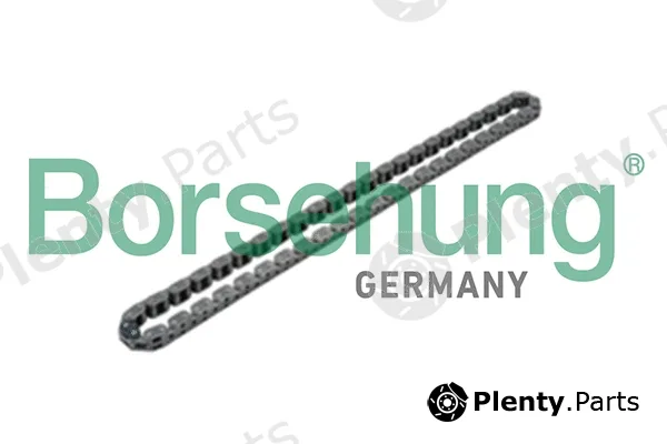 Borsehung B17905 — Chain, oil pump drive