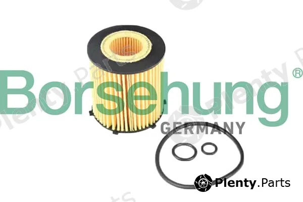 Borsehung B12405 — Oil Filter