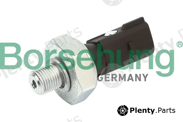 Borsehung B13137 — Oil Pressure Switch