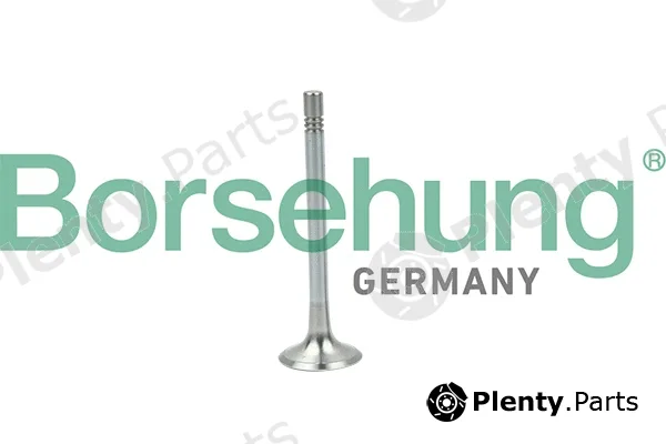 Borsehung B19004 — Exhaust Valve