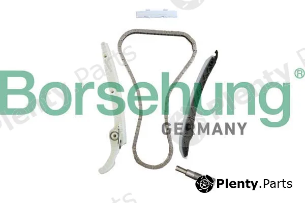 Borsehung B10237 — Timing Chain Kit