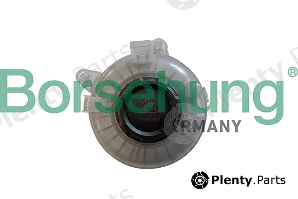 Borsehung B11939 — Expansion Tank, coolant