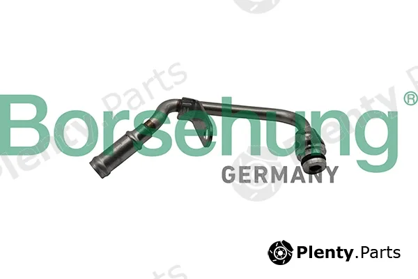 Borsehung B19269 — Coolant Pipe