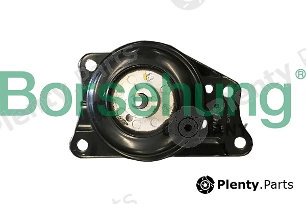Borsehung B19183 — Mounting, engine