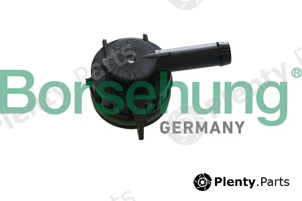 Borsehung B12000 — Valve, crankcase ventilation