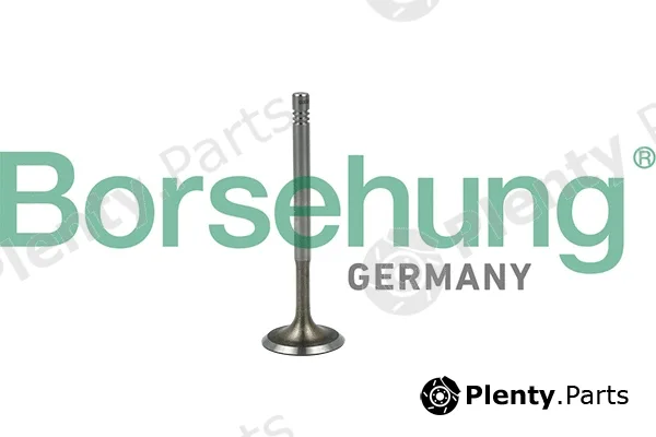 Borsehung B19019 — Intake Valve