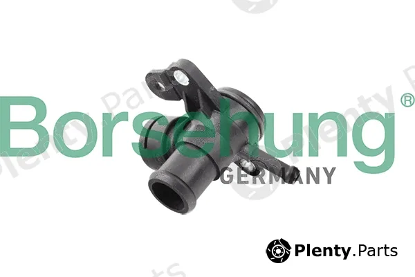 Borsehung B11992 — Coolant Flange