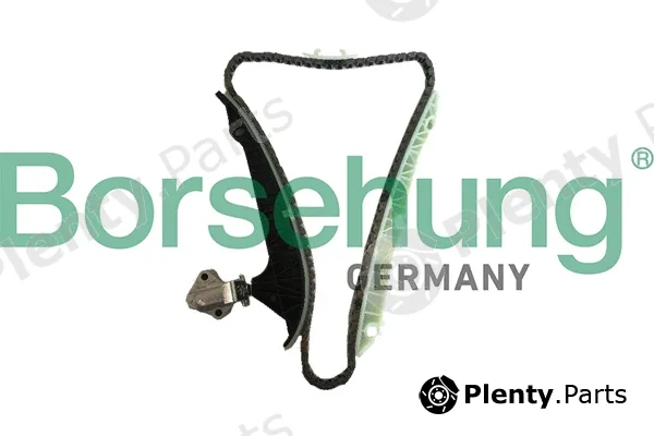 Borsehung B18778 — Timing Chain Kit
