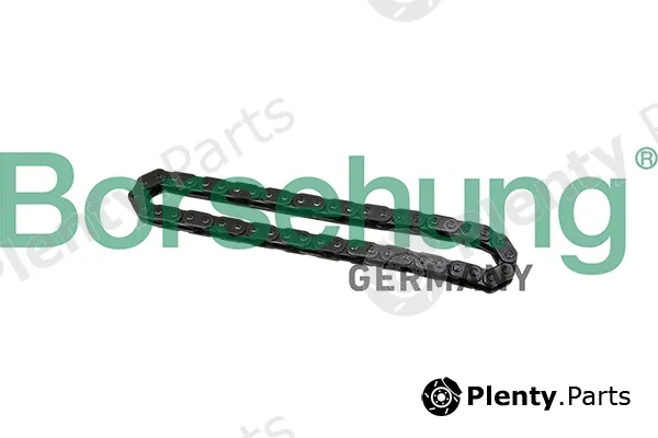Borsehung B1C028 — Timing Chain