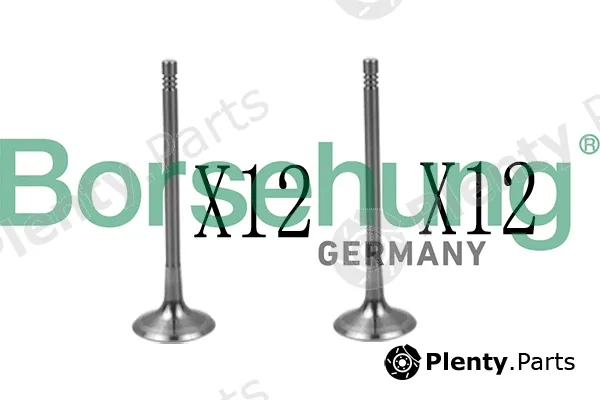 Borsehung B18639 — Valve Kit, intake/exhaust valve