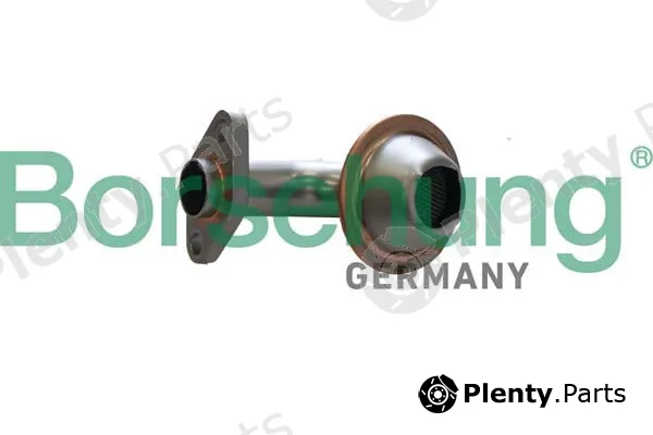 Borsehung B12308 — Strainer, oil pump suction pipe