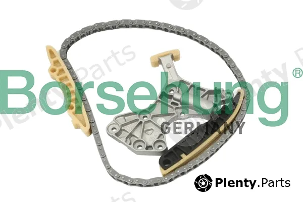 Borsehung B10205 — Chain Kit, oil pump drive