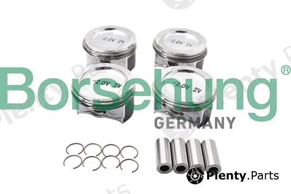 Borsehung B13581 — Piston Ring Kit
