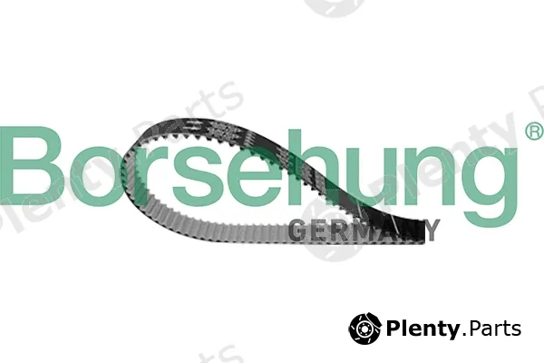 Borsehung B10229 — Timing Belt