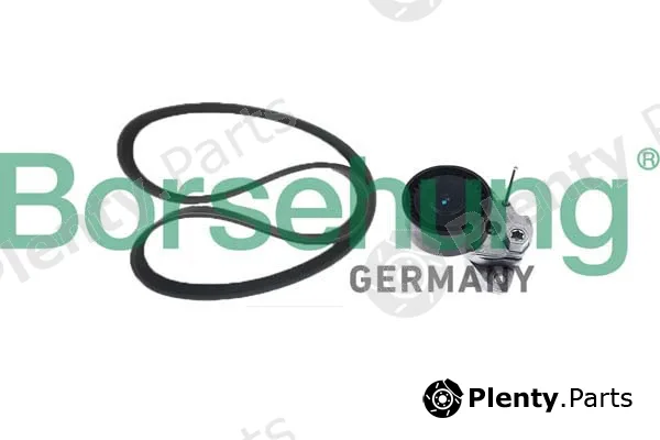 Borsehung B12361 — Pulley Kit, V-ribbed belt