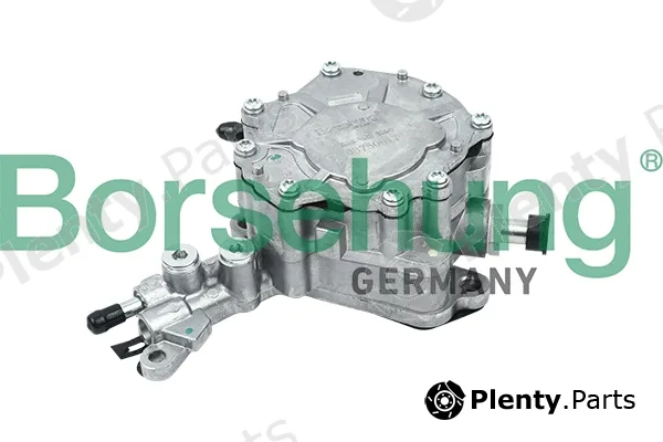 Borsehung B14919 — Vacuum Pump, braking system