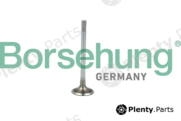 Borsehung B19021 — Intake Valve