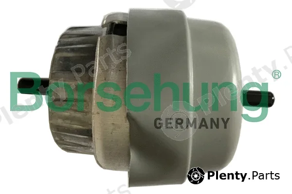 Borsehung B19135 — Mounting, engine