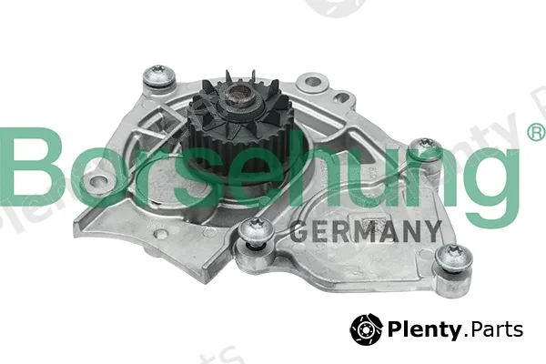Borsehung B15313 — Water Pump, engine cooling