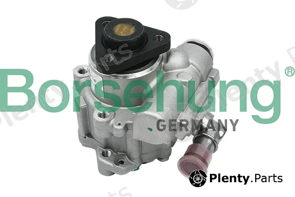 Borsehung B13209 — Hydraulic Pump, steering