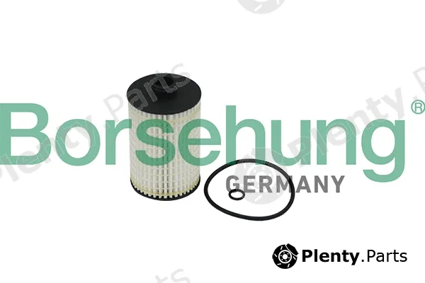 Borsehung B10519 — Oil Filter