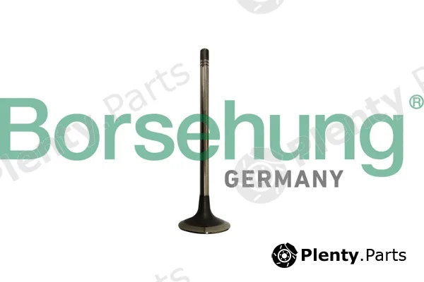 Borsehung B10333 — Exhaust Valve