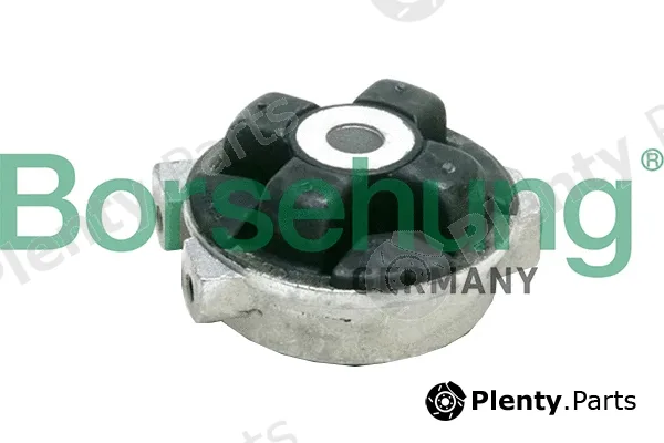 Borsehung B19103 — Mounting, engine