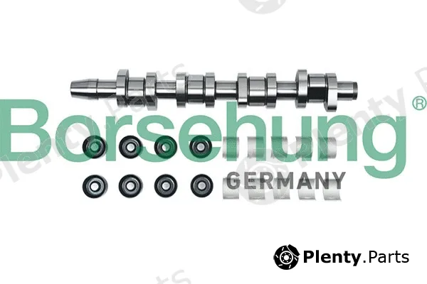 Borsehung B18808 — Camshaft Kit