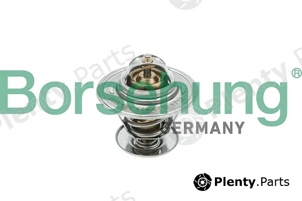Borsehung B18245 — Thermostat, coolant