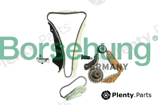Borsehung B18858 — Timing Chain Kit