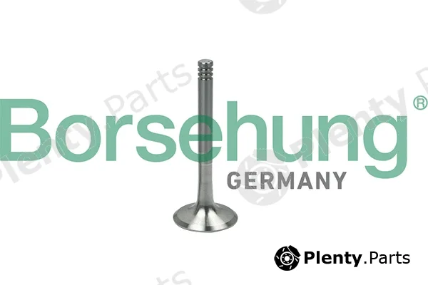 Borsehung B19000 — Exhaust Valve