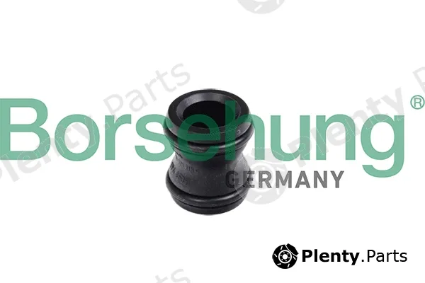 Borsehung B11991 — Hub, water pump