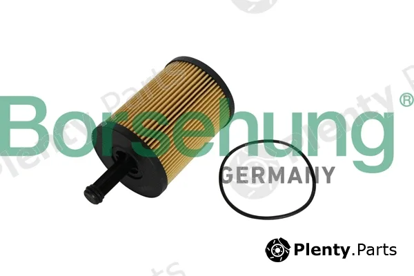 Borsehung B12224 — Oil Filter