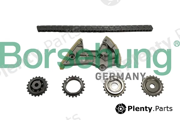 Borsehung B18848 — Timing Chain Kit
