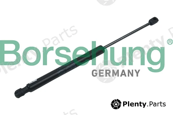 Borsehung B14192 — Gas Spring, boot/cargo area