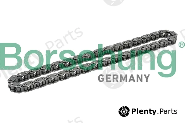 Borsehung B1C016 — Timing Chain