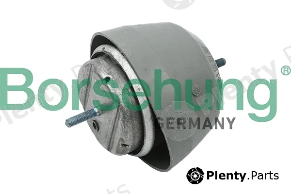 Borsehung B12233 — Mounting, engine