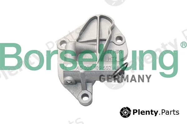 Borsehung B18298 — Tensioner, timing chain